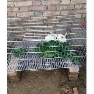 镀锌铁丝网围栏养殖网阳台防护防鼠防猫养鸡笼子小孔电焊网格家用