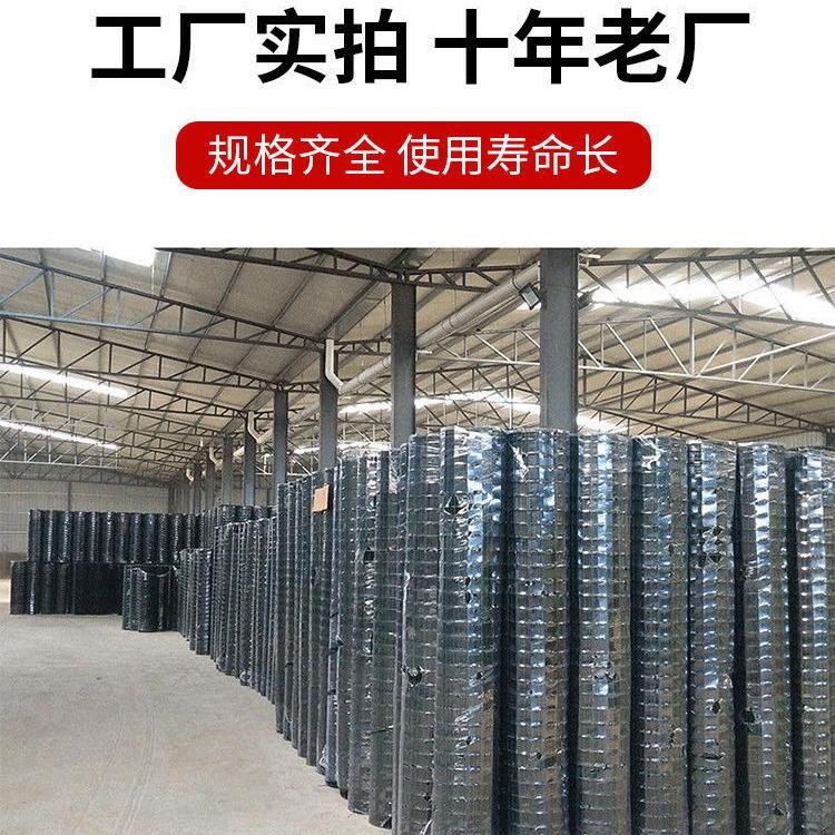中塑铁丝网围栏养殖防护网隔离圈地护栏网鸡硬塑钢丝网格防风加厚