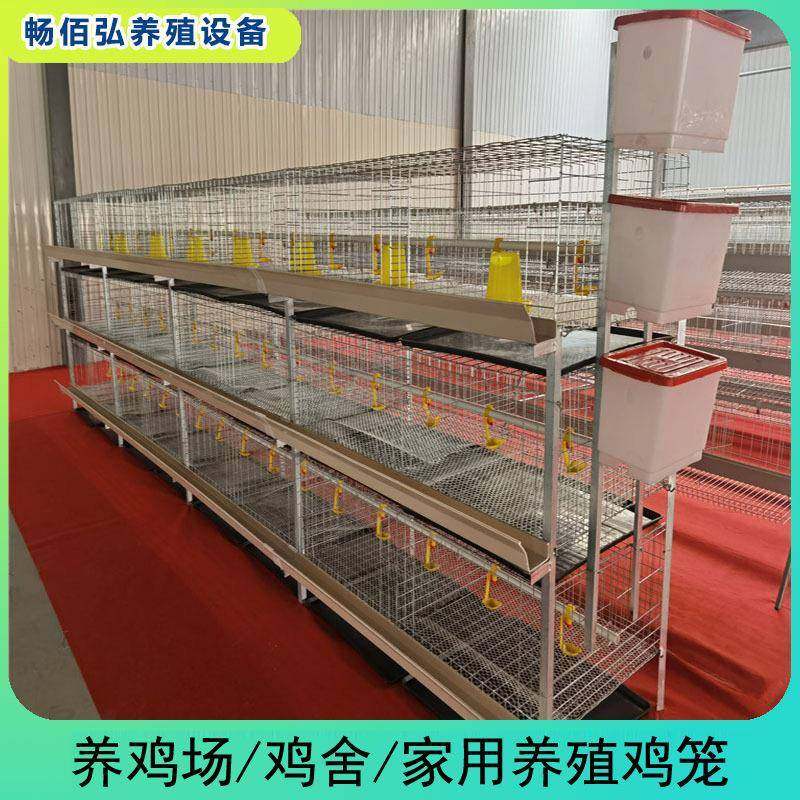 肉鸡笼H型框架笼鸡舍养殖鸡窝镀锌工艺层叠式可供外贸,畜牧/养殖物资,特种养殖设备,淘宝优惠券,粉丝福利购,淘宝优惠卷