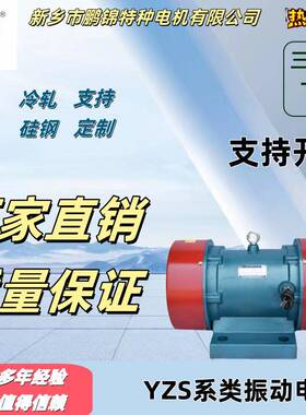 工厂直销三相异步电动机YZS246极电机振动筛直线振动筛振动电机