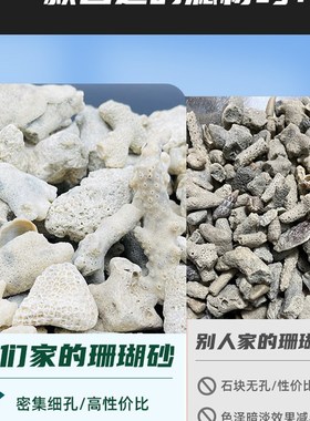 鱼池大块珊瑚骨滤材鱼缸纯天然过C滤材料珊瑚石珊瑚砂海鲜缸沙网