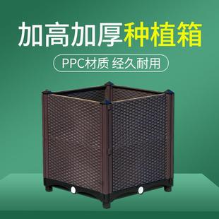 连箱 种植箱花箱户外室内组合屋顶家庭家用露台花盆阳台种菜常规款