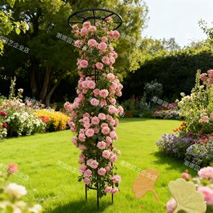 新款铁艺花柱爬藤架伞型蘑菇头加粗加厚造型大号花架定制