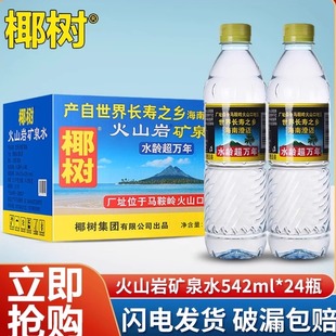 椰树火山岩饮用天然矿泉水542ml 24瓶整箱国宝长寿泉会议水泡茶水