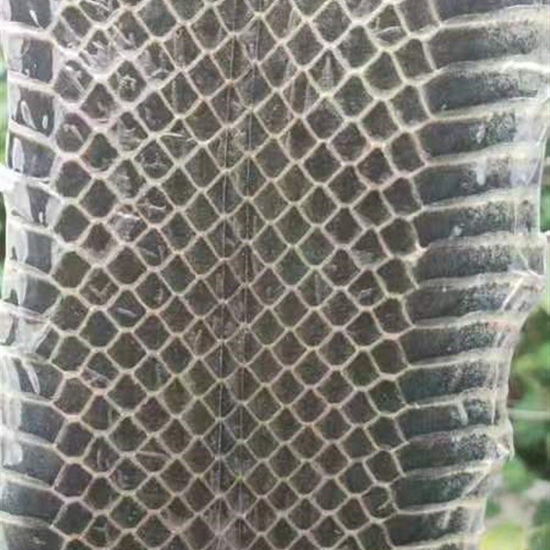 乐器配件精选整条乌稍皮越胡皮京胡西皮二黄京二胡曲胡蒙皮乐器皮