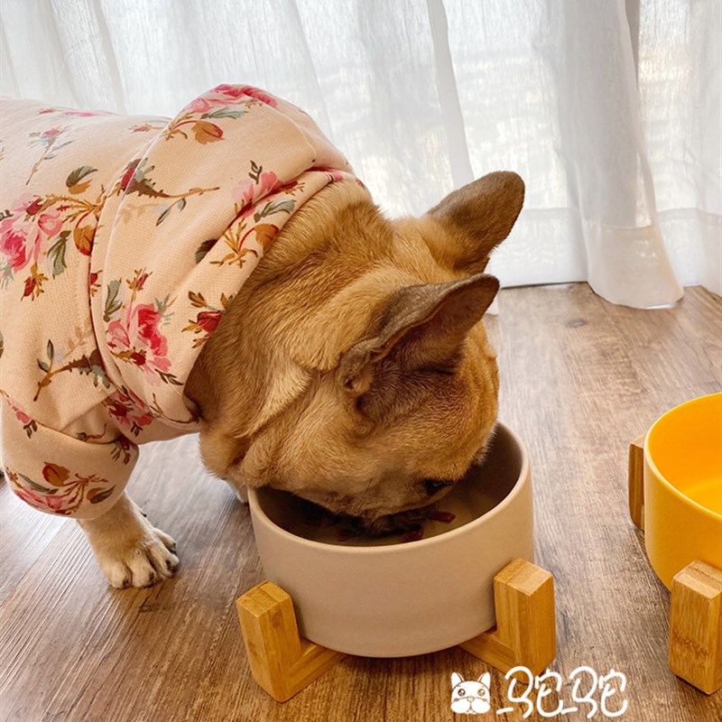 驼驼家狗狗饭盒单碗防打翻陶瓷宠物碗架子护颈大号可爱猫食盆水碗