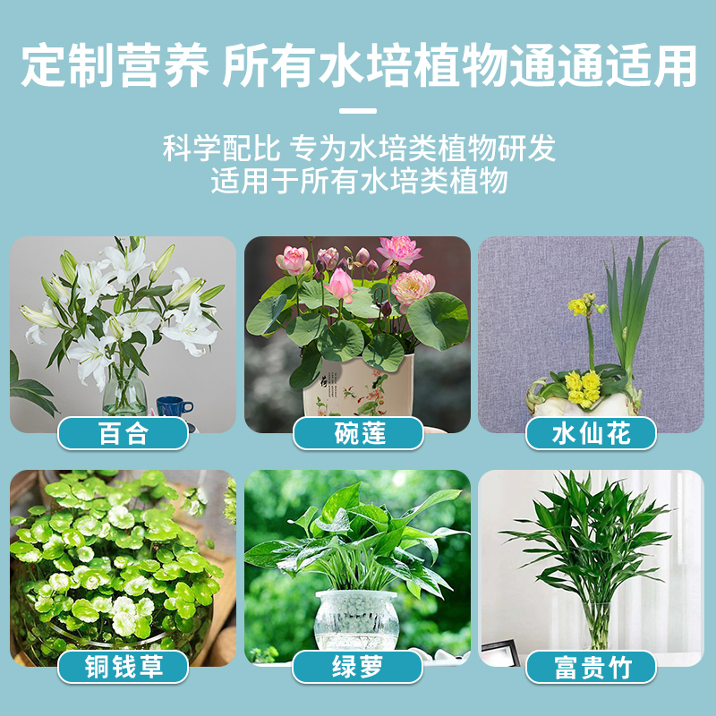 水培植物营养液专用花肥水养植物通用型富贵竹绿萝铜钱草吊兰花草