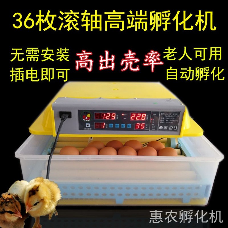 2021款出壳小鸡苗家禽孵化箱全自动恒温孵化机保温生小鸡电卵器孵