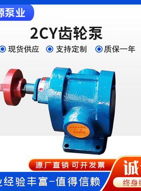 2cy齿轮油泵厂家现货高扬程泵增压燃油泵防爆齿轮泵