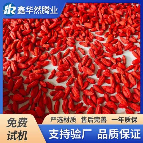 新鲜枸杞冷冻干燥设备锁鲜枸杞真空冷冻黑枸杞干燥机