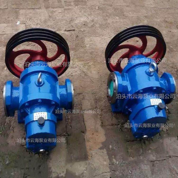 LCQT-100/0.6铜轮罗茨泵柴油罗茨转子泵泊头铜轮泵