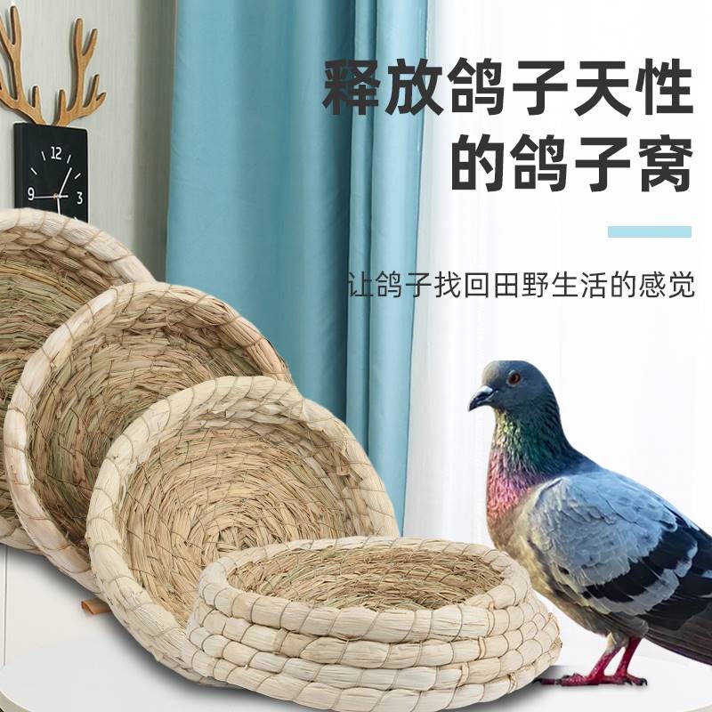 鸽子草窝孵蛋用品用具鸟窝保暖草编大全鸡窝巢下蛋窝家用信鸽