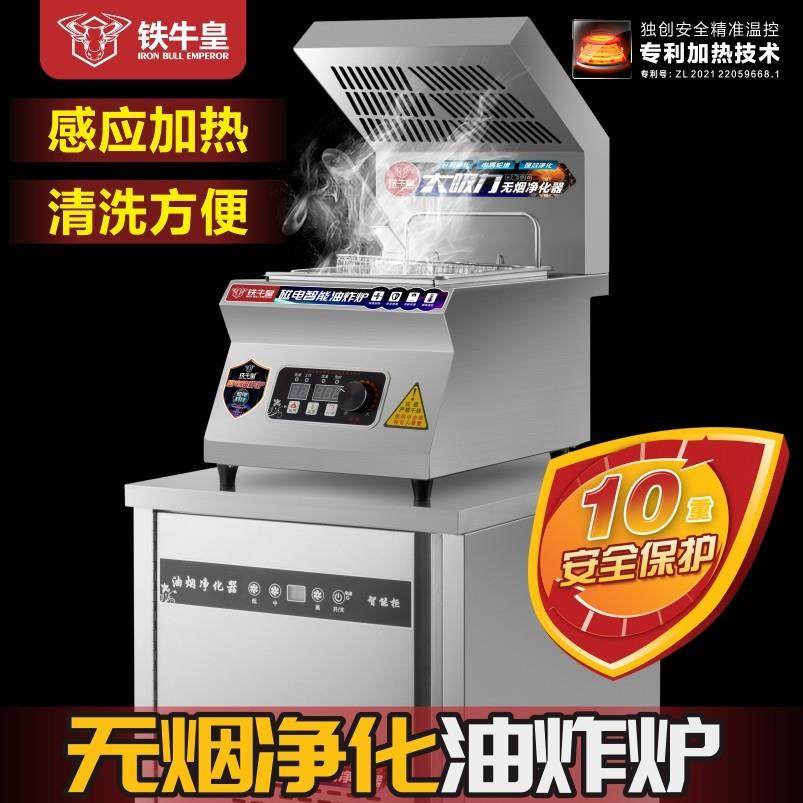 无油烟设备商用电炸炉炸锅摆摊油炸机炸串专用带抽烟净化商场炸鸡,厨房电器,商用炸锅/炸串/薯条机,淘宝优惠券,粉丝福利购,淘宝优惠卷