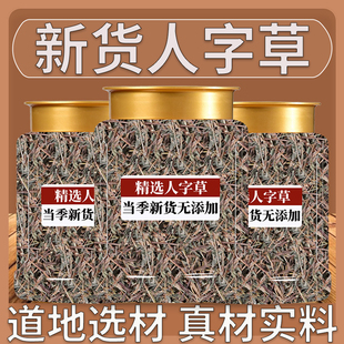 野生人字草鸡眼草公母草夜关门老鸦须红骨丹中药材草药500g包邮