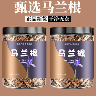 马兰根中药材马兰根正宗野生马兰草根路边菊马兰头根马蔺根