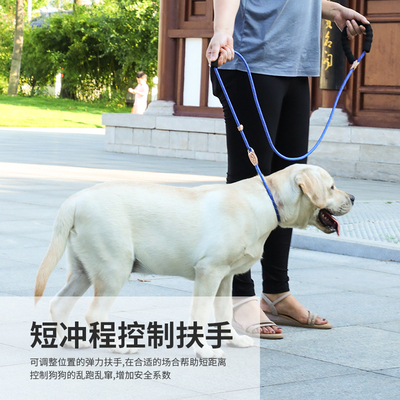 狗P链牵引绳 加粗加长1.8米P绳防爆冲金毛小中大型犬狗链子遛狗绳
