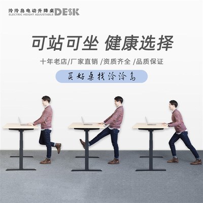 泠泠岛新款简约可升降桌电动升降办公桌可调节高度桌子站立升降台