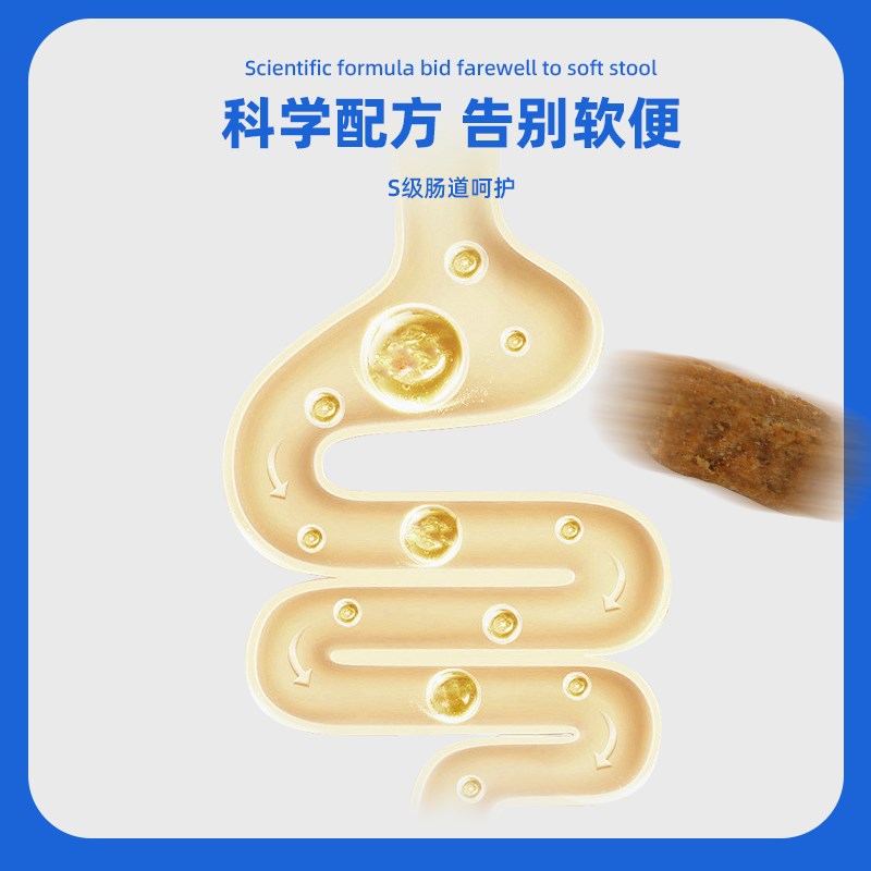 揽月低温烘焙猫粮无谷成猫幼猫专用奶糕全价鸡肉鸭肉天然高蛋白