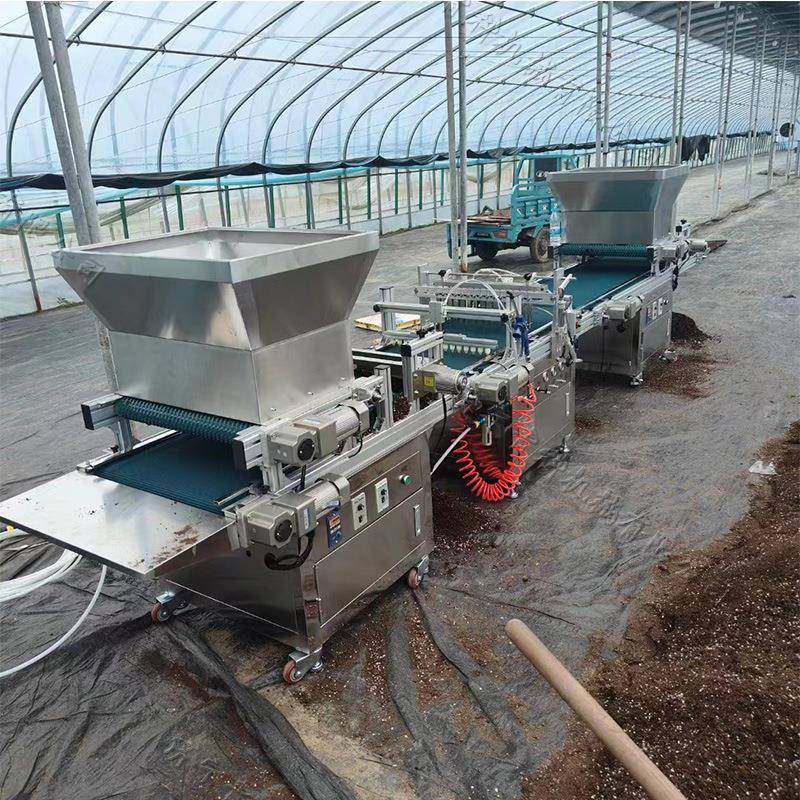 穴盘育苗播种机蔬菜种植育秧泡沫盘点种机农用辣椒种育苗点播机,农机/农具/农膜,播种栽苗器/地膜机,淘宝优惠券,粉丝福利购,淘宝优惠卷