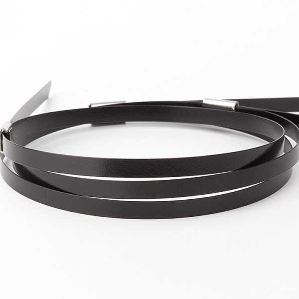 SLN321Snmele森美304喷塑不锈钢扎带4.6/5.6/8mm自锁式黑色包塑收