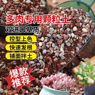 彩虹石纯颗粒土多肉专用颗粒土