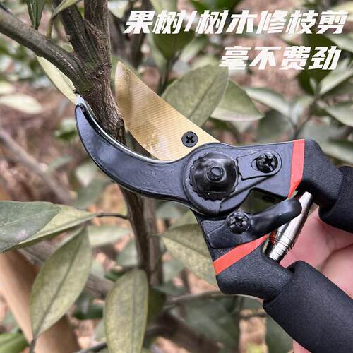 新款黑色省力修枝剪园艺园林剪果树剪枝海绵柄修树剪子花艺剪