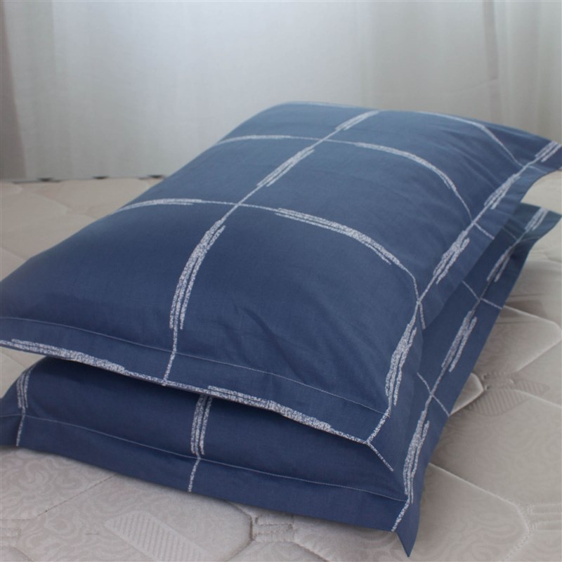 枕头套一对1e00全棉儿童可爱30X50单人卡通学生40X60成人48X74