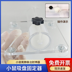 小白鼠固定器带吸盘 大鼠固定器带吸盘 小鼠腹部尾静脉注射固定器