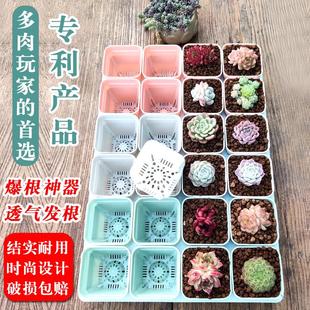 带托盘多肉专用花盆塑料彩色组合简约耐用爆根控根白方盆 7方套装