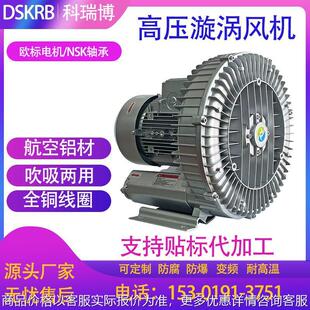 瑞晶253016 253026旋涡气泵 涡轮式真空鼓风机 变频鼓风机