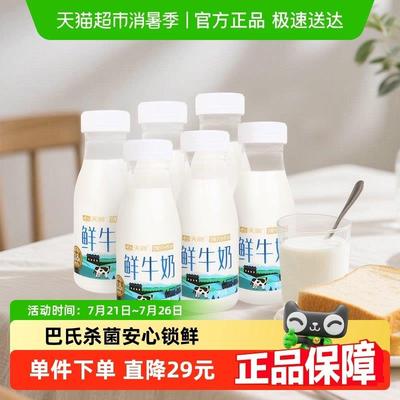 【顺丰包邮】天润鲜牛奶巴氏杀菌鲜牛奶3.8g蛋白质210g*6瓶