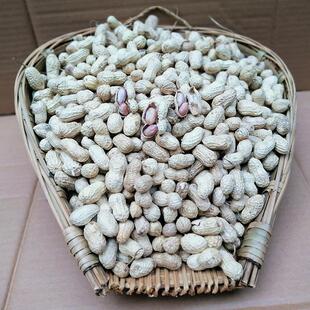 重庆特产綦江东溪花生东溪草坪花生柴坝绵子水煮花生日晒干盐花生