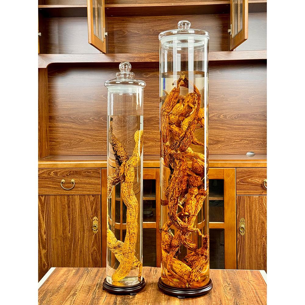 直筒高硼硅玻璃泡酒专用酒瓶带龙头人参牛大力鹿鞭高档密封储物罐