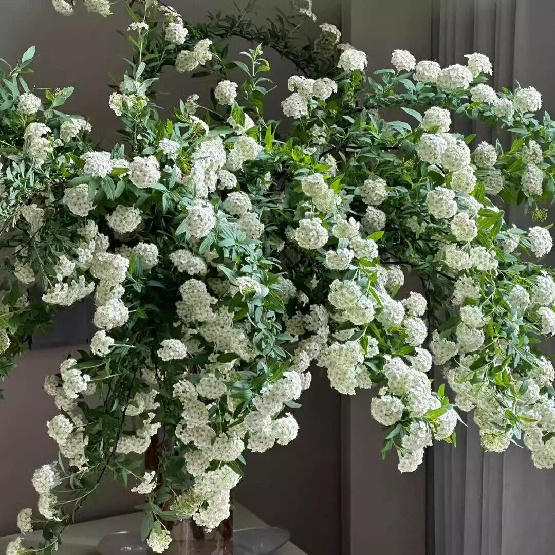 小手球鲜花云南直发室内水培插花白色菱叶绣线菊重瓣鲜切花绿植