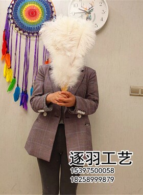 欧式白色扇骨肚皮舞表演舞蹈演出羽毛扇子  全绒大鸵鸟羽毛扇