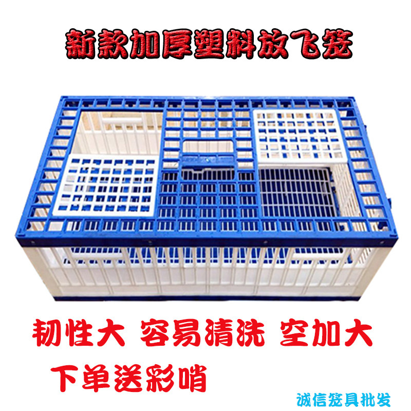 鸽子用品用具鸽子笼塑料放飞笼训放笼报道笼训鸽笼塑料加厚放飞笼