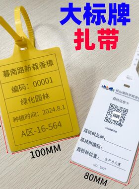 大号塑料封条物流紮带q吊牌标签标识牌菜筐分类标签园林苗木记号