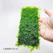 大三角莫斯水草植物造景水草新手水草沉木造景胶