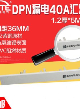 DPN漏电40A汇流排 紫铜1.2*5空开DZ267LE连接排断路器接线排KT006