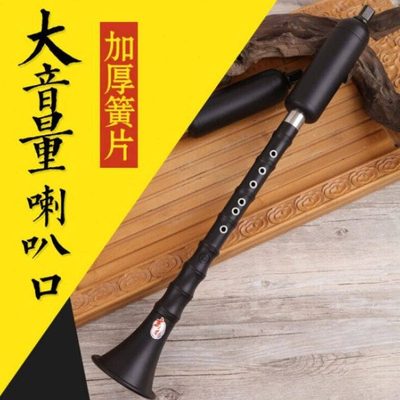 玄鹤巴乌竖吹大音量巴乌乐器G/F调单管乐器G调+包+指法表