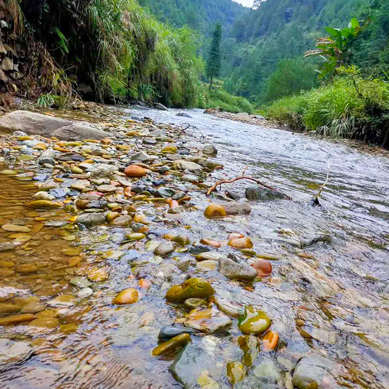 溪流缸造景石原生三湖慈鲷虾虎缸天然石头大块草鱼缸布景装饰套餐