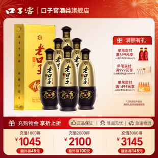 口子窖濉溪老口子42度450ml*6整箱 纯粮食见详细白酒口粮酒