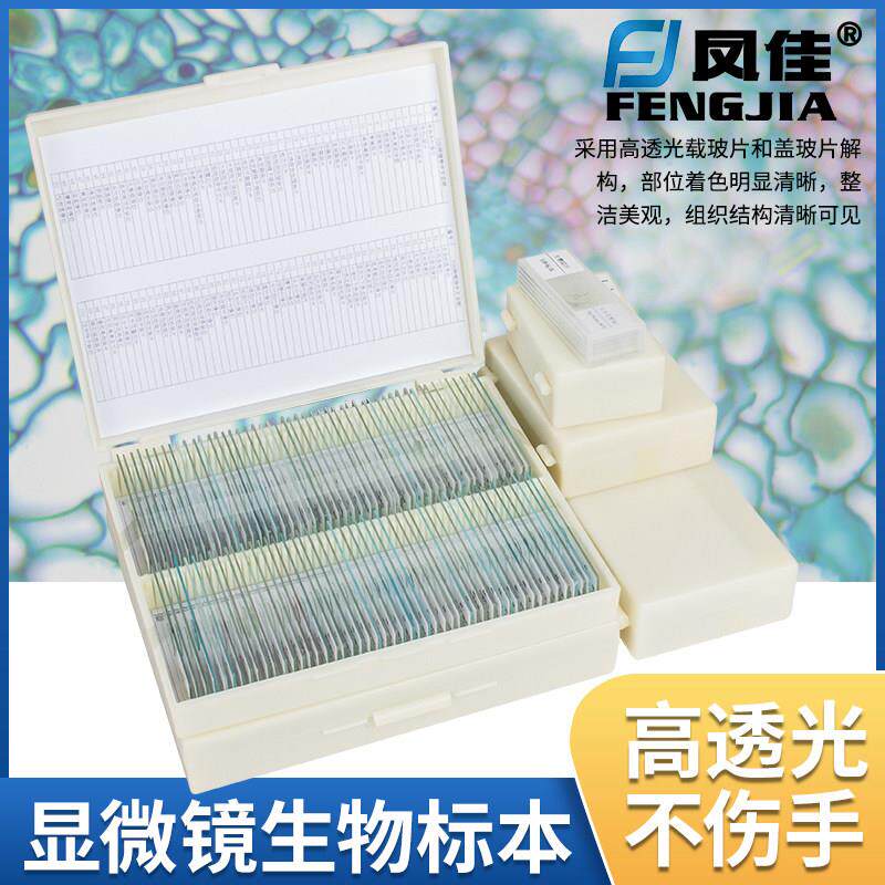 凤佳正品儿童学生显微镜
