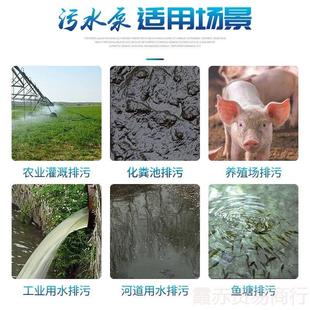 污水泵国标抽粪沼气排污家用化粪池大功率切潜水泵220 农用切割式