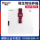 280S 130S 450S实验室微生物培养箱升温速率可调 65S 上海博迅BXP