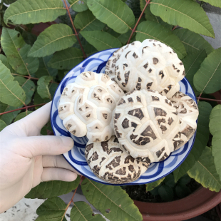 特产大冬菇天白花菇4~8厘米随州干货小香菇新货食用菌蘑菇煲汤材