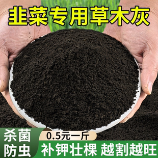 种菜用的草木灰韭菜专用肥料稻壳炭草木灰种菜专用种菜种花通用型