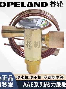 EMERSON艾默生热力膨胀阀AAE1/2/3/4/5/8HCA/SZ/SC/MC单向外平衡