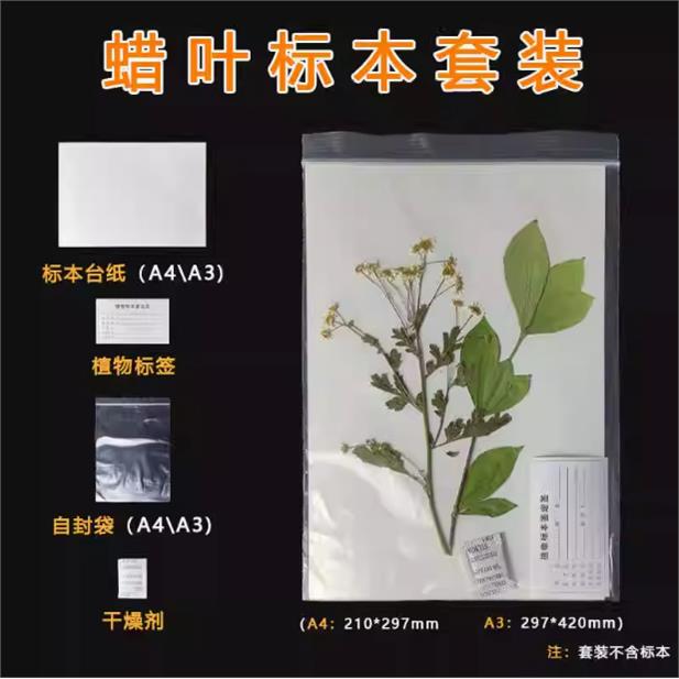 植物标本制作工具套装台