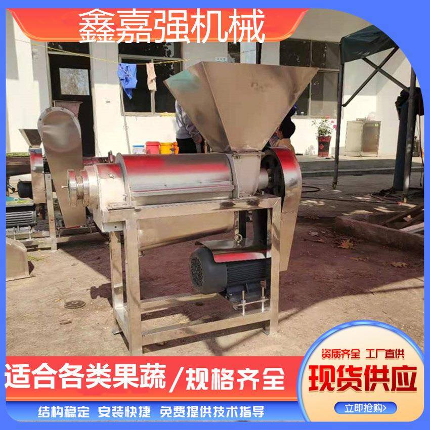 大型生姜破碎打汁机渣汁分离桑葚苹果去核打浆机工业螺旋榨汁机